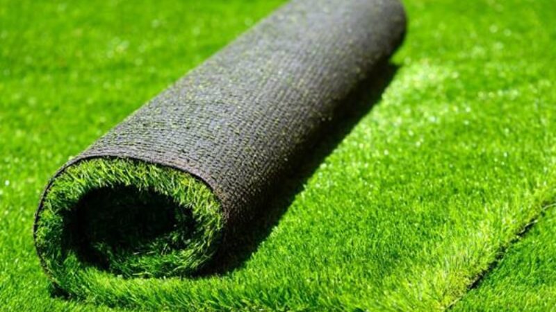 Layanan Ilufa Karenina Properti (7)-min